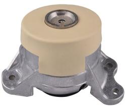 TEDGUM Suport motor TEDGUM TED87817 (TED87817) - automobilus