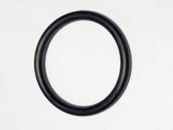 Strend Pro Garnitura piston LS800/1050, piesa 17-1 pentru etansare fiabila (114756)