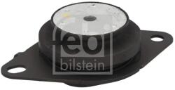 FEBI BILSTEIN Suport Motor Stanga 29663 Renault Espace Iv/Laguna Ii/Vel Satis (29663)
