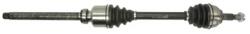 PASCAL Planetara Axa Fata Dreapta G2P053Pc Peugeot 407 (G2P053PC)