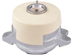 TEDGUM Suport motor TEDGUM TED20297 (TED20297) - automobilus
