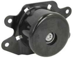 REINHOCH Suport motor REINHOCH RH11-5035 (RH11-5035) - automobilus