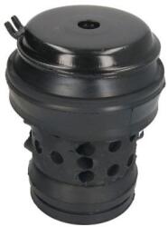 REINHOCH Suport motor REINHOCH RH11-0005 (RH11-0005) - automobilus