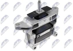 NTY Suport motor NTY ZPS-LR-011 (ZPS-LR-011)