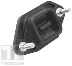 TEDGUM Suport Motor Fata Stanga Ted14845 Honda Accord Viii