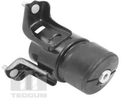 TEDGUM Suport Motor Fata Ted62860 Toyota Camry (TED62860)
