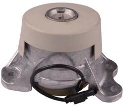 TEDGUM Suport motor TEDGUM TED77064 (TED77064) - automobilus