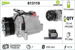 VALEO Compresor, climatizare VALEO CORE-FLEX 813119 (813119)