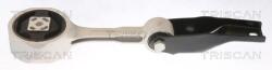 TRISCAN Suport motor TRISCAN 8505 29138 (8505 29138) - automobilus