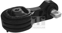 TEDGUM Suport motor TEDGUM 00269388 (00269388)