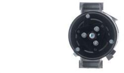 MAHLE Compresor, climatizare MAHLE BEHR ACP 1552 000S (ACP 1552 000S)