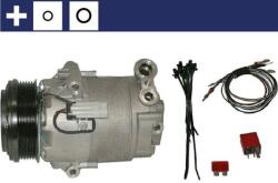 MAHLE Compresor, climatizare MAHLE BEHR ACP 24 000S (ACP 24 000S)