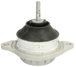 REINHOCH Suport motor REINHOCH RH11-0000 (RH11-0000) - automobilus