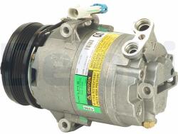 DELPHI Compresor, climatizare DELPHI TSP0155025 (TSP0155025) - automobilus