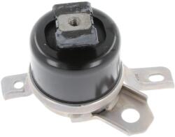 CORTECO Suport motor CORTECO 49389726 (49389726) - automobilus