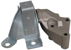 Asam Automotive Suport motor ASAM AUTOMOTIVE 116313 (116313)