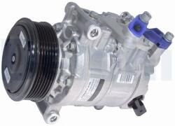 DELPHI Compresor, climatizare DELPHI TSP0159969 (TSP0159969)