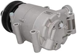 KAMOKA Compresor, climatizare KAMOKA 7820088 (7820088) - automobilus