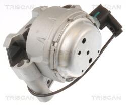 TRISCAN Suport motor TRISCAN 8505 29171 (8505 29171) - automobilus