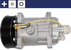 MAHLE Compresor, climatizare MAHLE BEHR ACP 396 000S (ACP 396 000S)