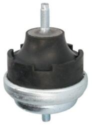 REINHOCH Suport motor REINHOCH RH11-2002 (RH11-2002) - automobilus