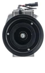 MAHLE Compresor, climatizare MAHLE BEHR ACP 1009 000S (ACP 1009 000S)