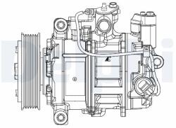 DELPHI Compresor, climatizare DELPHI CS20504 (CS20504) - automobilus