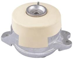 TEDGUM Suport motor TEDGUM TED45256 (TED45256) - automobilus