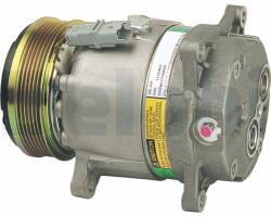 DELPHI Compresor, climatizare DELPHI TSP0155307 (TSP0155307) - automobilus