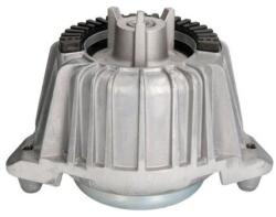 REINHOCH Suport motor REINHOCH RH11-3024 (RH11-3024) - automobilus