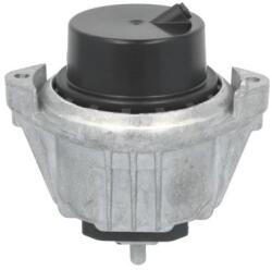REINHOCH Suport motor REINHOCH RH11-3173 (RH11-3173) - automobilus