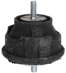 REINHOCH Suport motor REINHOCH RH11-3007 (RH11-3007) - automobilus