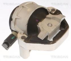 TRISCAN Suport motor TRISCAN 8505 29170 (8505 29170) - automobilus