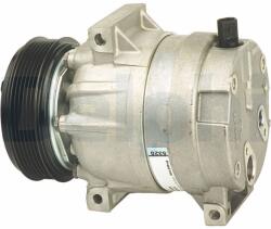 DELPHI Compresor, climatizare DELPHI TSP0155138 (TSP0155138) - automobilus