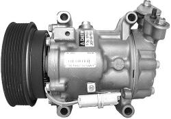 AIRSTAL Compresor, climatizare AIRSTAL 10-0617 (10-0617)
