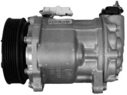 AIRSTAL Compresor, climatizare AIRSTAL 10-1006 (10-1006) - automobilus