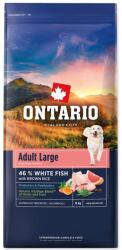 ONTARIO Adult Large Fish & Brown Rice 2 x 12 kg