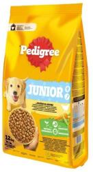 PEDIGREE Junior baromfival és zöldségekkel 2 x 12 kg