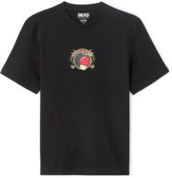 CELIO Lnechop1 (1184600)