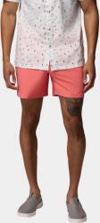 Columbia Terminal Roamer Stretch Short D
