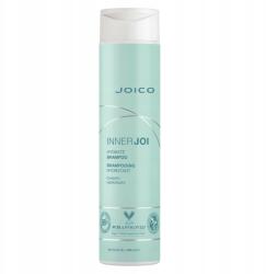 Joico InnerJoi Hydration hajsampon hidratáló száraz hajra 300 ml (joico2)