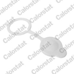 CALORSTAT by Vernet Buson, vas expansiune CALORSTAT by Vernet RC0206 (RC0206)
