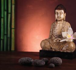 Dovido Öntapadó fotótapéta pihenő Buddha - 294x270