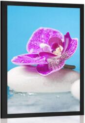 Dovido Poszter orchudea és Zen kövek - 60x90 black