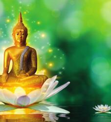 Dovido Tapéta arany Buddha lótusz virágon - 245x270