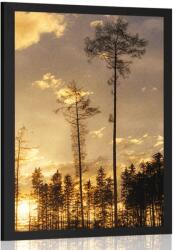 Dovido Poszter este az erdőben - 60x90 no frame