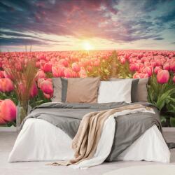 Dovido Öntapadó tapéta napkelte tulipánok felett - 98x66