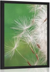Dovido Poszter pitypang mag - 20x30 black - dovido - 7 940 Ft