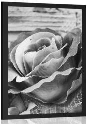 Dovido Poszter elegáns vintage rózsa fekete fehérben - 40x60 no frame