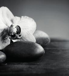 Dovido Öntapadó fotótapéta orchidea és kövek fekete fehérben - 245x270
